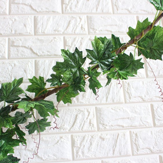 Ліана клен зелений уся довжина 14 метрів, фото 1