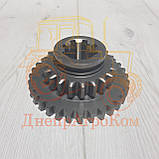 Шестерня ЮМЗ 2-ї та 4-ї передачі змінна | КПП | Z=32/21 | вир-во Україна | 40-1701117, фото 3