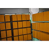 Вощина "Магазинна" 5 кг., фото 2