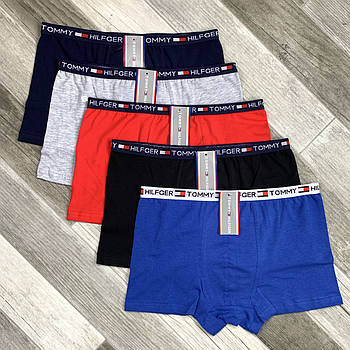 Труси чоловічі боксери пластмаси Tommy Hilfiger THU, ассорті, розмір XL (48-50), 03744