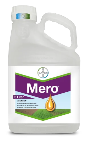 Прилипач Меро