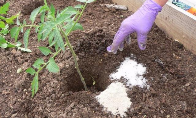 Добрива для рослин Органічні добрива для рослин