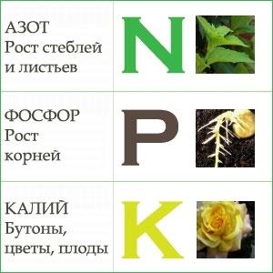Фосфор, азот, калій Добрива для рослин фосфор, азот, калій