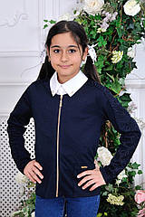 Жакет шкільний із прошвою на дівчинку Розміри 40 42 Колір синій