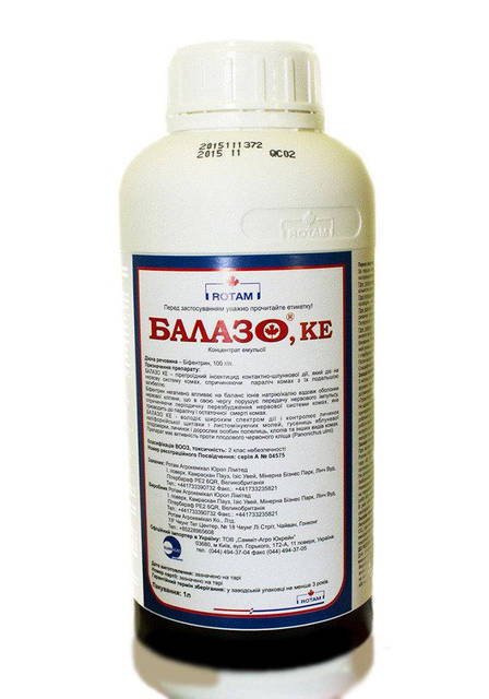 Колготки фетиш секс