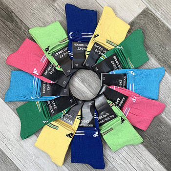 Шкарпетки жіночі демісезонні спортивні х/б Adidas, Woman Sport Socks, кольорове асорті, середні, 10051