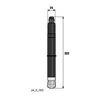 Датчик надуксусної кислоти DULCOTEST® PAA 1-mA