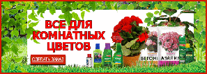 Все для кімнатних квітів