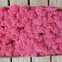 Стабілізований мох (ягель) для декорування, 500 г