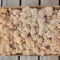 Стабілізований мох (ягель) 500 г фасування