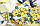 "SALE" Шорти дитячі літні з квітами на дівчинку 3-5 років (2цв) "GLORIA" купити недорого від прямого постачальника, фото 2