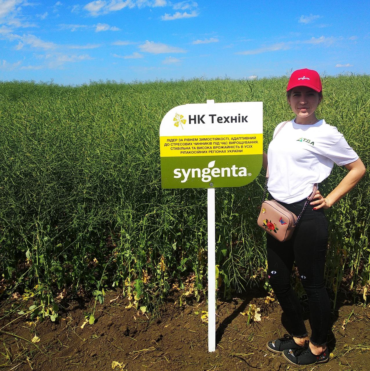 Озимий ріпак НК Технік/Технік ПК