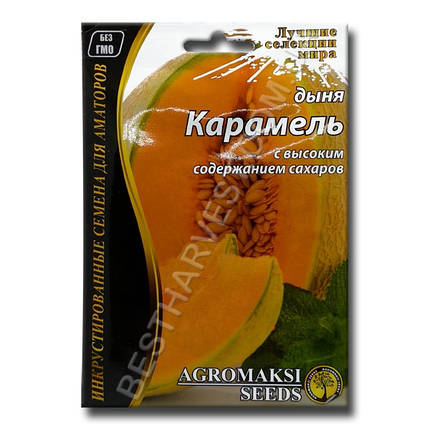 Насіння дині «Карамель» 15 г, фото 1