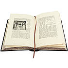 Книга Подарункове видання "Ілюстрована історія України". Грушевський М. С. у шкіряній палітурці, фото 7