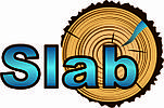 СМОЛА епоксидна SLAB та HOBBY