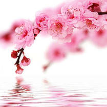 Стол кухонный стеклянный Бочка фотодрук Sakura 91х61 *Эко (БЦ-стол ТМ), фото 3