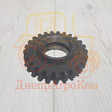 Шестірня проміжна привода НШ-100 ЮМЗ | Z = 31 | вир-во Україна | 40-1701146, фото 2