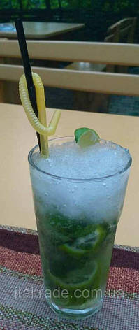 Лядокорошувач EWT Inox ICE-100, фото 4