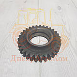 Шестерня ЮМЗ паразитна заднього ходу Z = 25 вир-во Україна 36-1701082, фото 2
