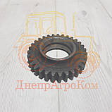 Шестерня ЮМЗ паразитна заднього ходу Z = 25 вир-во Україна 36-1701082, фото 3