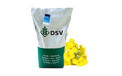 Насіння озимового ріпаку Даріо (DSV)