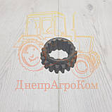 Шестерня ЮМЗ КПП заднього ходу Z = 18 вир-во Україна 40-1701051, фото 3