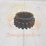 Шестерня ЮМЗ КПП заднього ходу Z = 18 вир-во Україна 40-1701051, фото 2