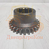 Шестерня ЮМЗ 2-й передачі  Z = 27 вир-во Україна 40-1701057, фото 3