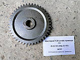 25.22.103, Шестірня Т-25, 25ф.22.103, фото 4