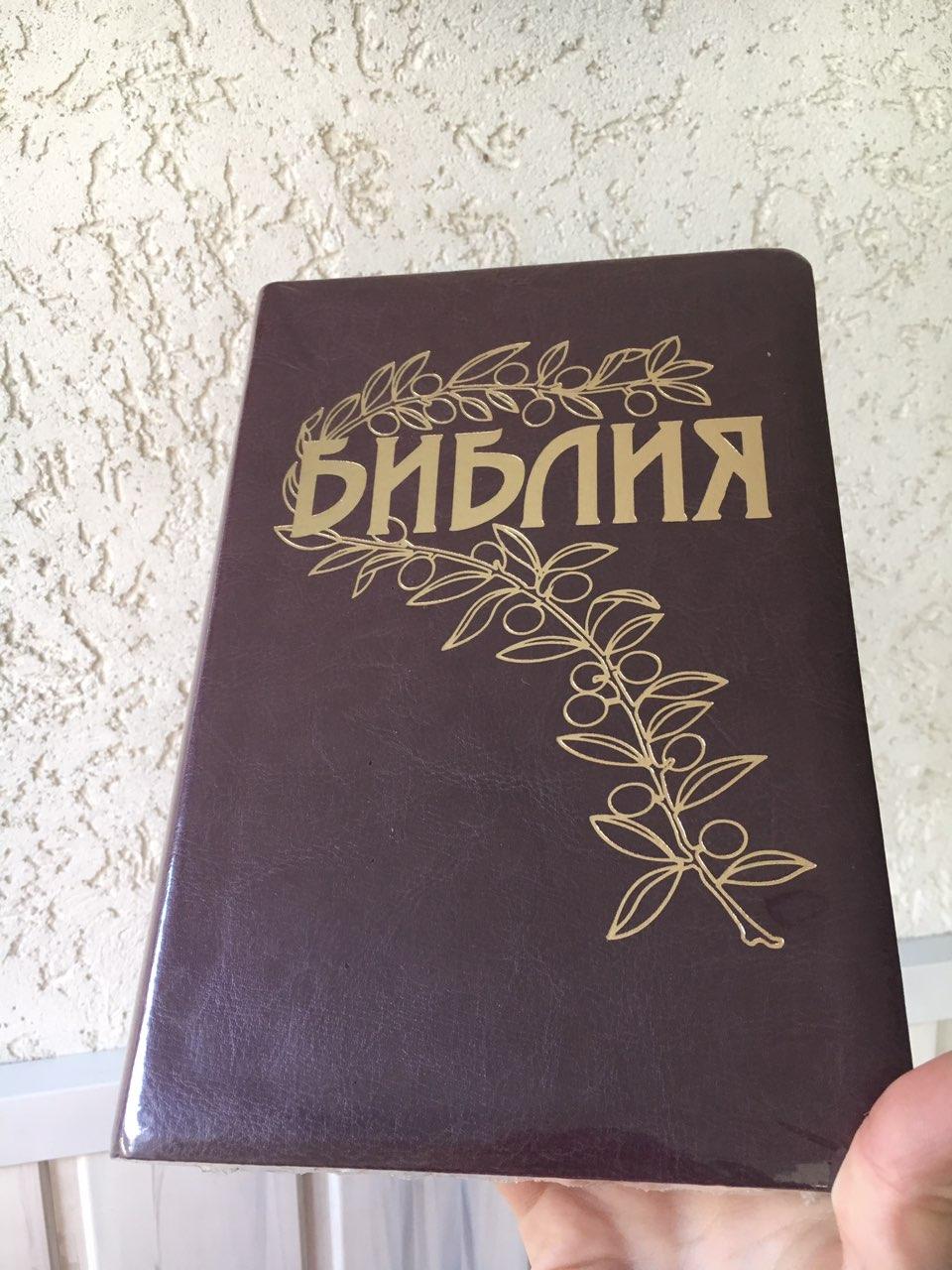 Библия коричневого цвета с веточкой, 14х22 см, с замочком, без индексов, золотой срез