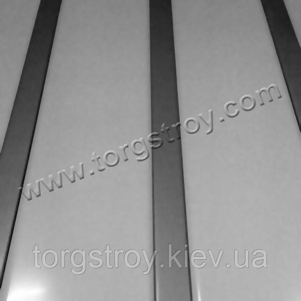 Рейкова стеля: біла зі вставкою металік - фото 1 - id-p222085321