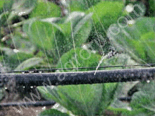 Туман 45 мм Silver Spray