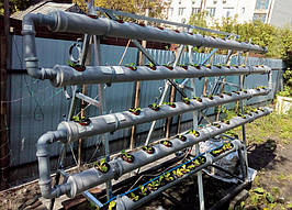 Зелень в фитопирамиде на удобрениях Green Kit 2