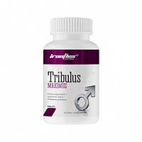 Tribulus Maximus IronFlex, 90 таблеток
