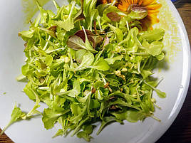 Салат-микрозелень на Green Kit 8