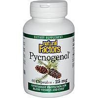 Пикногенол, Natural Factors, 25 мг, 60 капсул