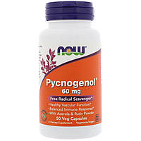 Пикногенол, Now Foods, 60 мг, 50 растительных капсул