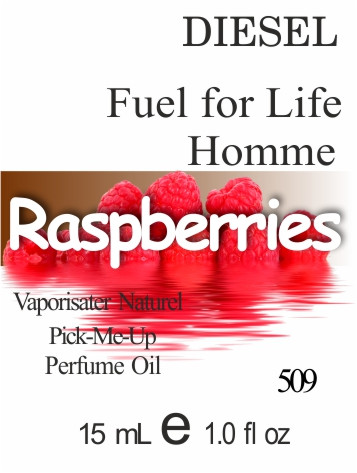 Масло парфумерне (509) версія аромату Дизель Fuel for Life Homme - 15 мл композит в роллоне