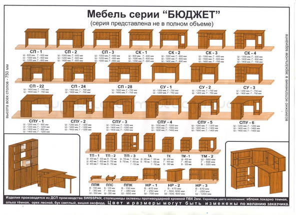 Письмовий прямий офісний стіл Тиса / Tisa СК-2 1000х600 (Бюджет) з ДСП, фото 2