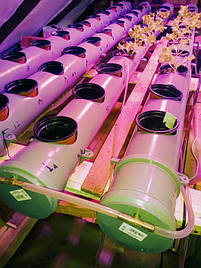 Гидропоника на чердаке на удобрениях Green Kit 1