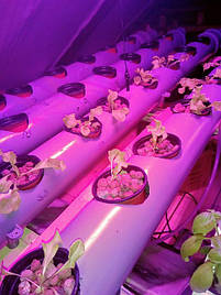 Гидропоника на чердаке на удобрениях Green Kit 4