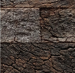 Настінна панель з кори коркового дуба CORKART - PT3483S