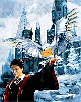 Картина по номерам Гарри Поттер Письмо из Хогвартса 40 х 50 см (VP1118)