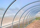 Теплиця Садовод Агро 300х1000х200см + стільниковий полікарбонат 4мм, фото 3