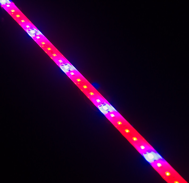 Світлодіодний фітосвітильник SMD5630 2:1 144LED для рослин