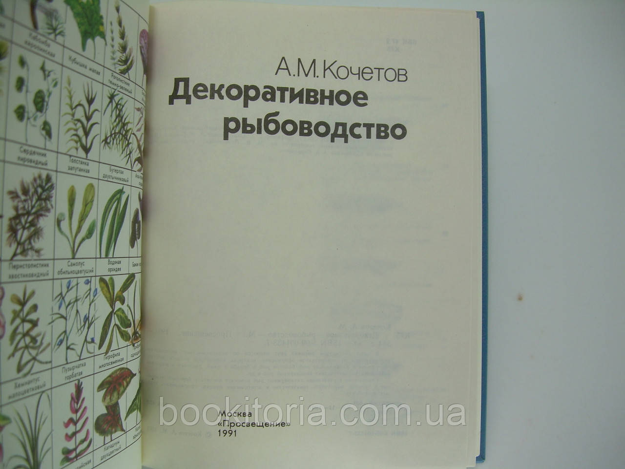 Кочетов А.М. Декоративное рыбоводство (б/у). - фото 5 - id-p101788601