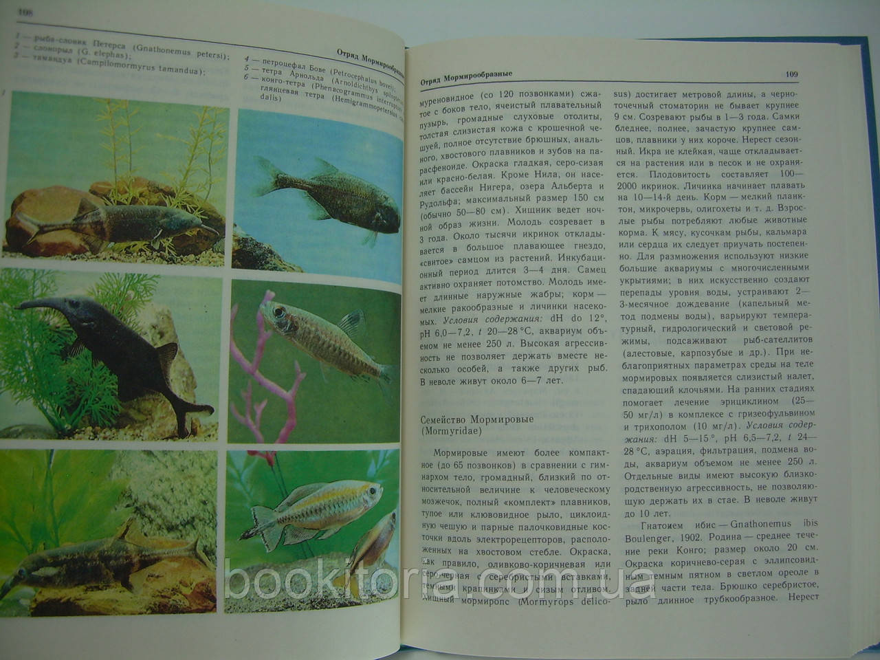 Кочетов А.М. Декоративное рыбоводство (б/у). - фото 7 - id-p101788601