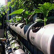 DFT-система из канализационных труб 2016