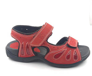 босоножки FS модель 8551,  размеры 35-40, цена 895 грн