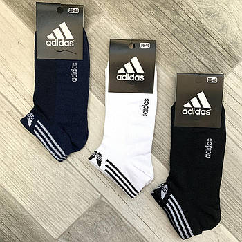 Шкарпетки жіночі спортивні х/б з сіткою короткі Adidas Athletic Sports, асорті, 06011